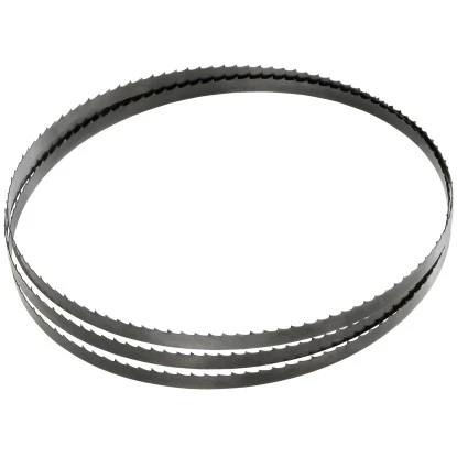 Einhell SĂ€geband 2.320 Mm X 12,7 Mm